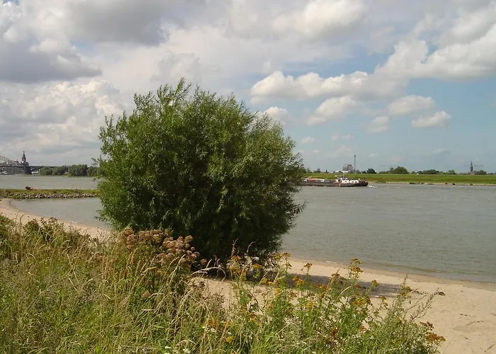 Roosje Ooy Bed and breakfast *